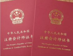 要考查财政会计、办理会计、审计、税务、金融